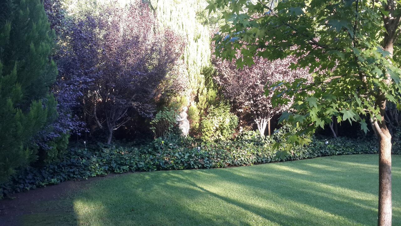 Giardino A 194 Bed and Breakfast Welkom Eksteriør billede